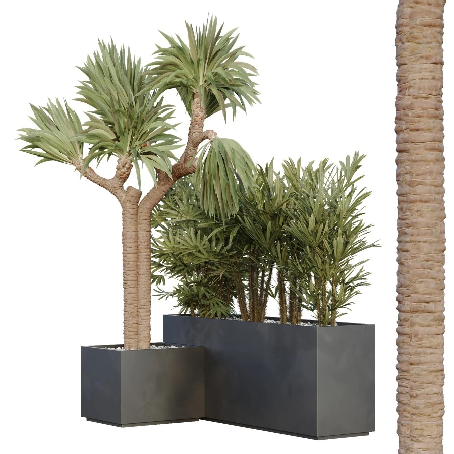 Hq Tree And Bush Garden Box Outdoor Vol 45
