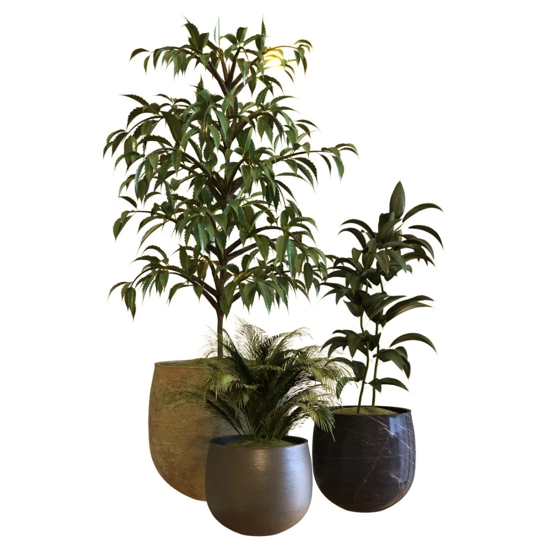 Plant In Box Set 040