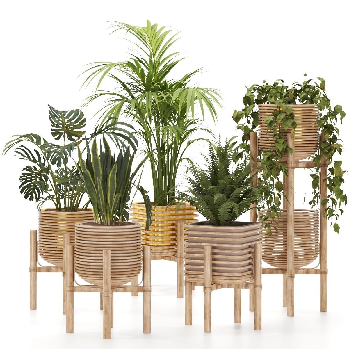 Plant-Collection-01 three wooden planters