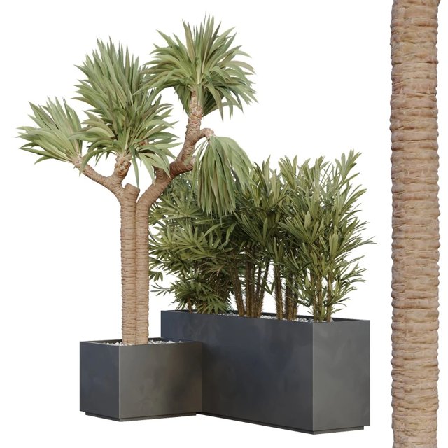 Hq Tree And Bush Garden Box Outdoor Vol 45