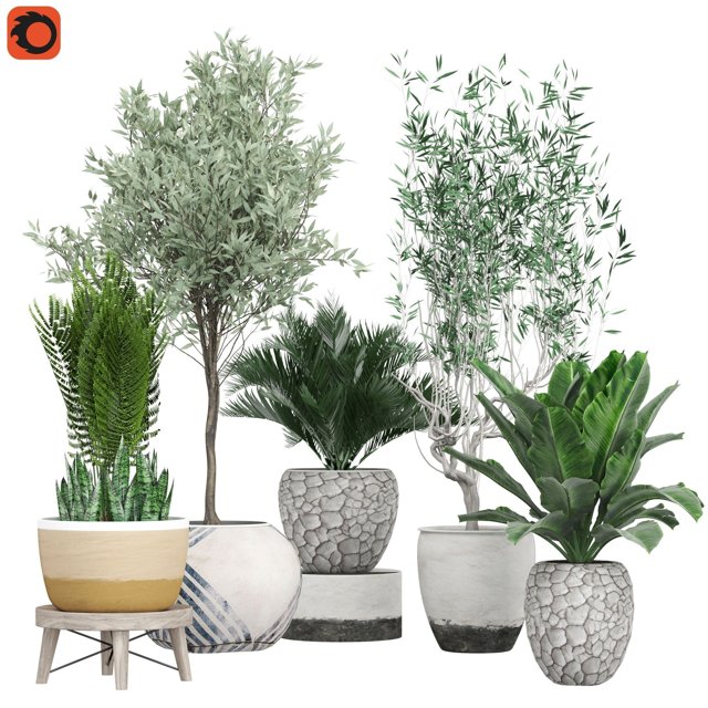 FlowerPack 171C