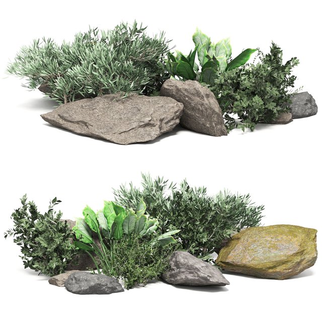 Stones and tree