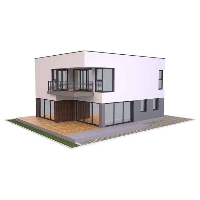 Modern House 1