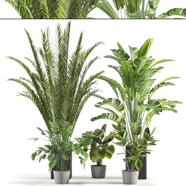 Collaction Indoor plant vol 45-02