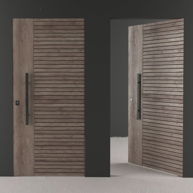 Frameless Door